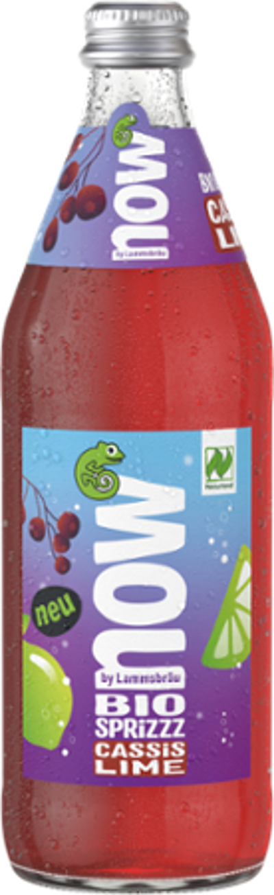 Produktfoto zu now Cassis Lime 0,5l