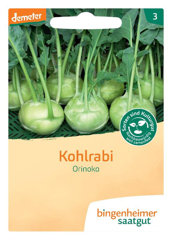 Produktfoto zu Kohlrabi weiß