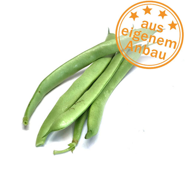 Produktfoto zu Buschbohnen, eigen