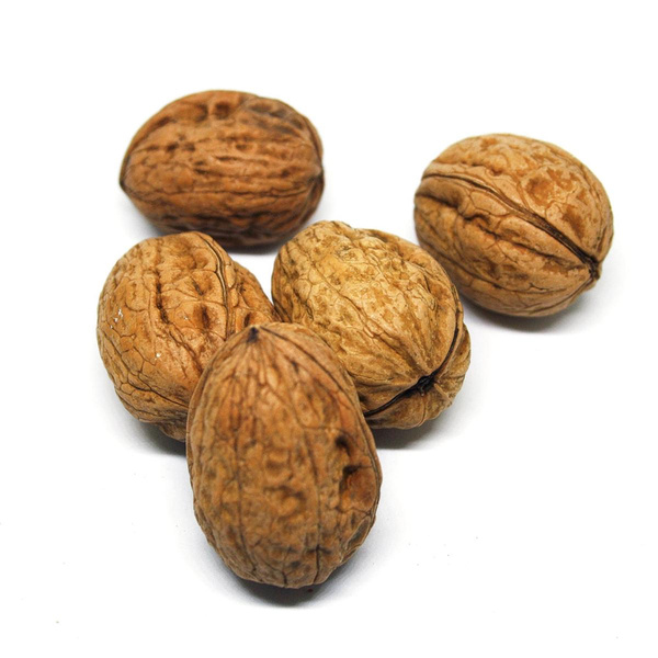 Produktfoto zu Walnüsse