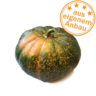 Produktfoto zu Kürbis Muskat, Teilstücke nach Wunsch, eigen