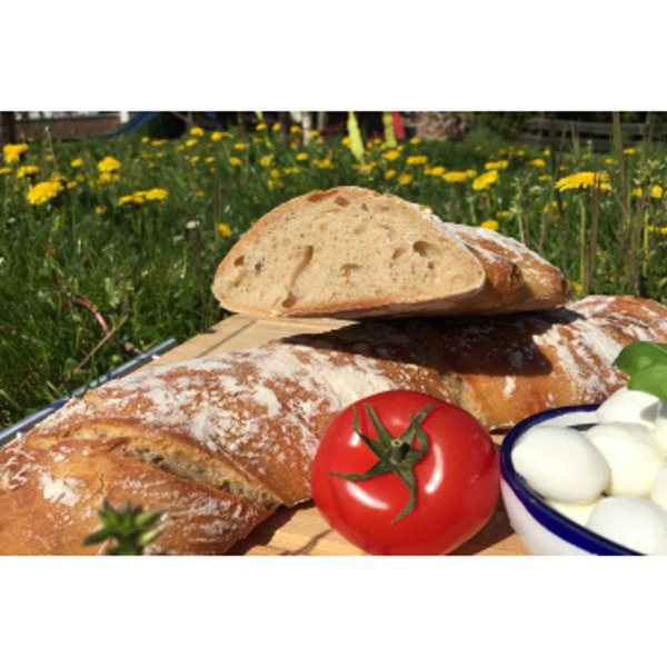 Produktfoto zu Wurzelbrot-Natur 500g