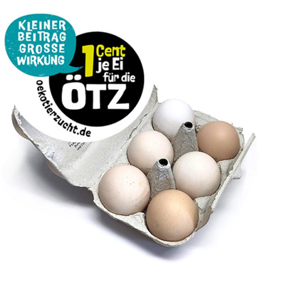 Produktfoto zu 6 Eier, Größe L