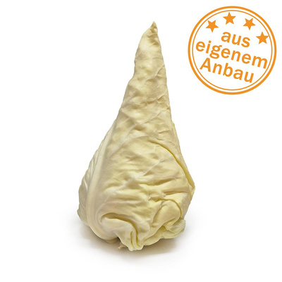 Produktfoto zu Spitzkohl, mini, eigen, ca. 300g