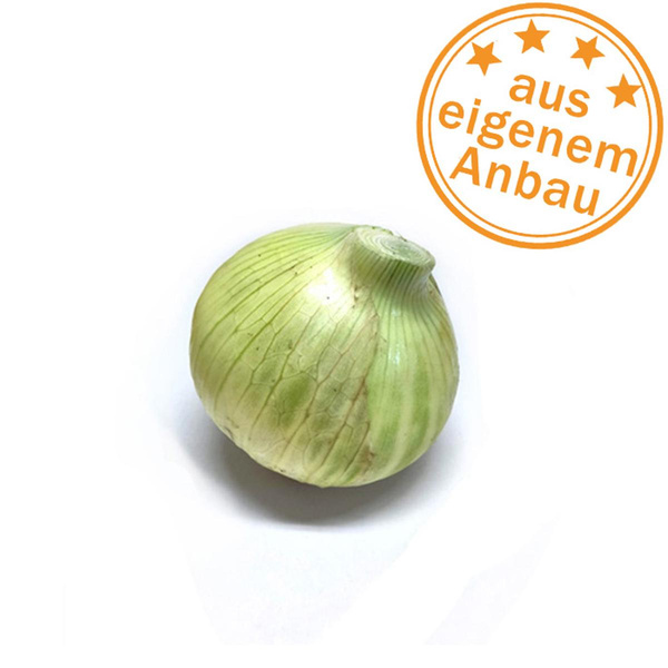 Produktfoto zu Zwiebeln, frisch, eigen