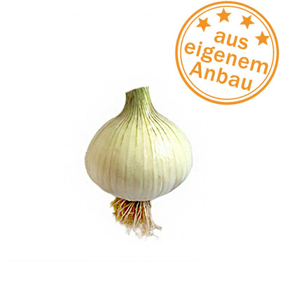 Produktfoto zu Gemüsezwiebel, frisch, eigen