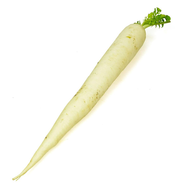 Produktfoto zu Rettich, weiß