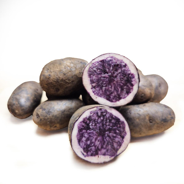 Produktfoto zu Blauer Schwede