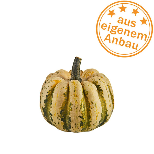 Produktfoto zu Kürbis Sweet Dumpling, klein, eigen, 0,35-0,5kg