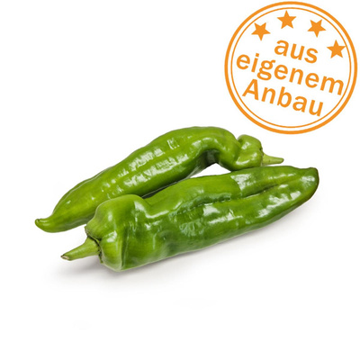 Produktfoto zu Paprika, spitz, grün, eigen