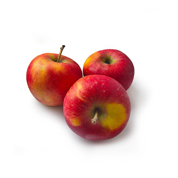 Produktfoto zu Apfel - Frodo