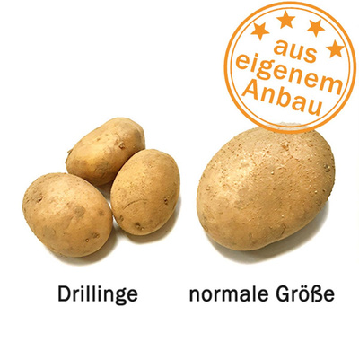 Produktfoto zu Mini-Kartoffeln (Drillinge)