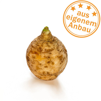 Produktfoto zu Knollensellerie, halb oder klein, eigen, ca. 450g