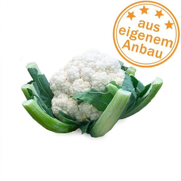 Produktfoto zu Blumenkohl, klein, eigen