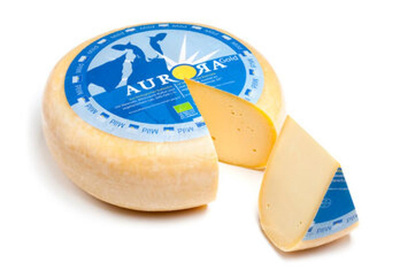 Produktfoto zu Gouda jung