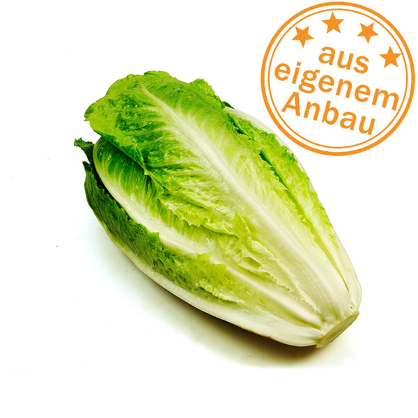 Produktfoto zu Mini-Romana, eigen