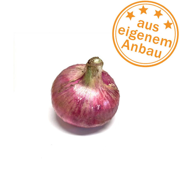 Produktfoto zu Zwiebeln, rot, frisch, eigen
