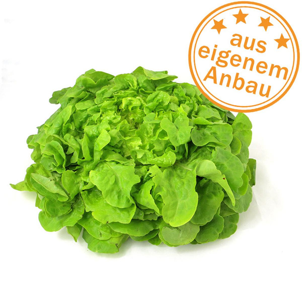 Produktfoto zu Eichblatt, grün, klein, eigen