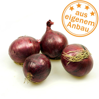 Produktfoto zu Zwiebeln, rot, eigen