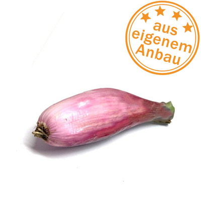 Produktfoto zu Schalotten, frisch, eigen