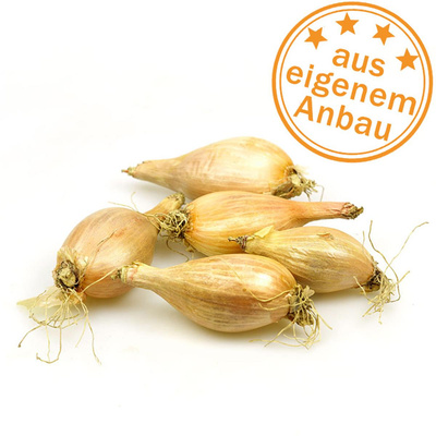 Produktfoto zu Schalotten, eigen