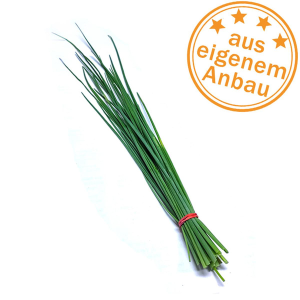 Produktfoto zu Schnittlauch, eigen