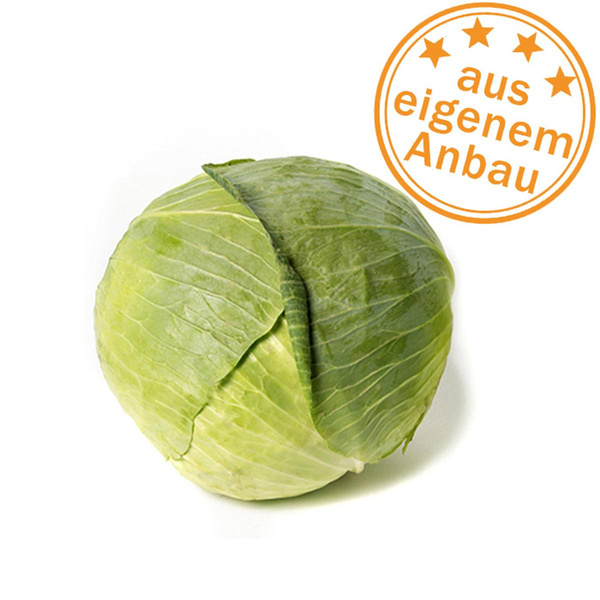 Produktfoto zu Weißkohl, eigen, ca 1-1,2 kg