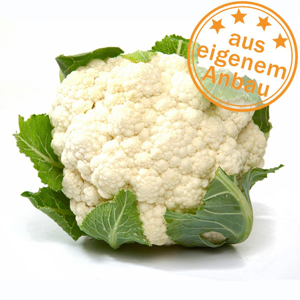 Produktfoto zu Blumenkohl, eigen