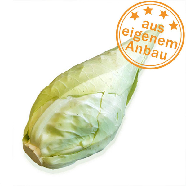 Produktfoto zu Filderkraut (wie Spitzkohl), eigen