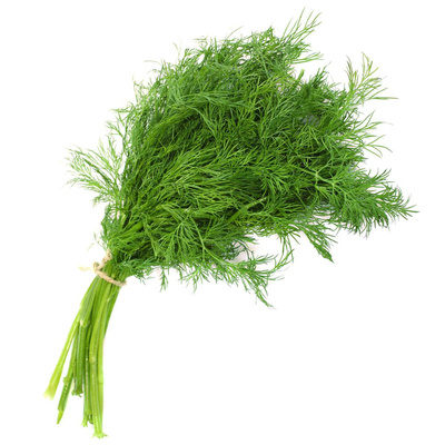 Produktfoto zu Dill