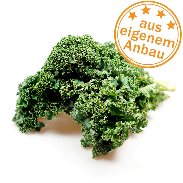 Produktfoto zu Grünkohl, eigen