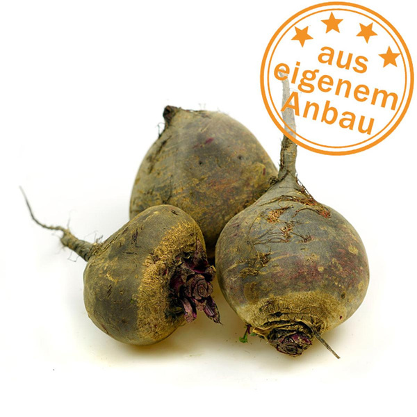 Produktfoto zu Rote Bete, eigen, Lagerware