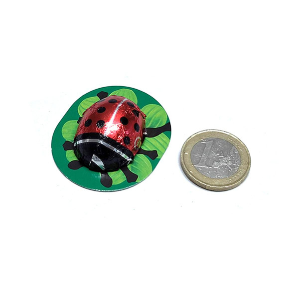 Produktfoto zu Glückskäfer 5g