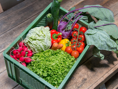 Eine grüne Kiste voller frischem Gemüse wie Kohl, Tomaten, Radieschen und Salat auf einem Holztisch.