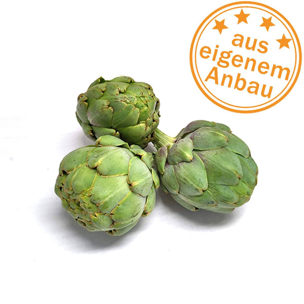 Produktfoto zu Artischocke, klein, eigen
