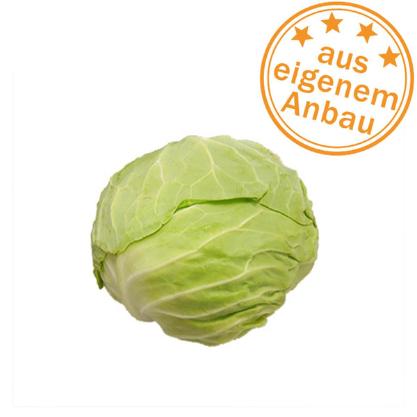 Produktfoto zu Weißkohl, 500-600g, besonders zart
