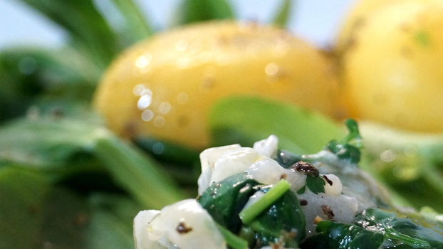 Rezeptbild für Kräuter-Sahnesößchen mit Spinat und Quark-Kartoffeln auf Salatbett