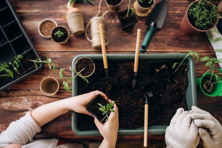 Ein Glas Bio-Erdbeerkonfitüre vor Erdbeeren, Aufschrift: "aus hofeigenen Früchten", "aus der Hofküche".
