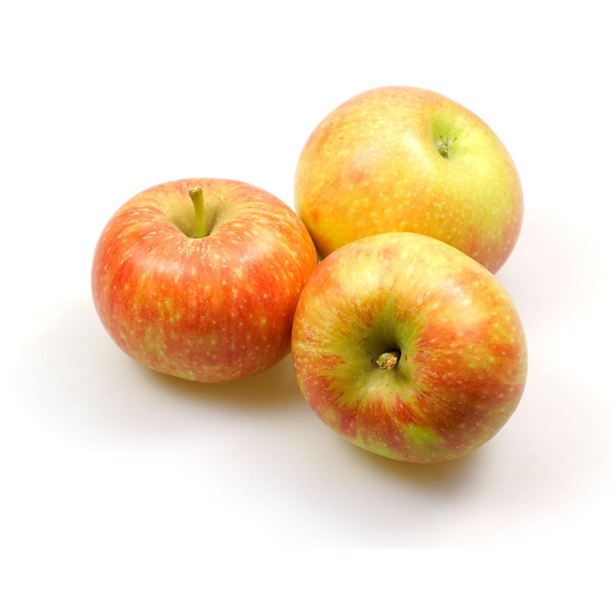 Apfel - Elstar, klein