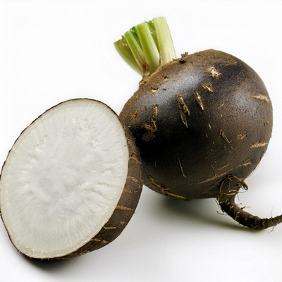 Produktfoto zu Rettich, schwarze Schale