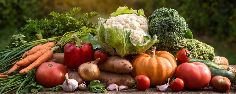 Verschiedene frische Gemüse wie Karotten, Paprika und Tomaten auf einem Tisch in einer Küche.