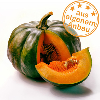 Produktfoto zu Kürbis Muskat, Teilstücke nach Wunsch, eigen