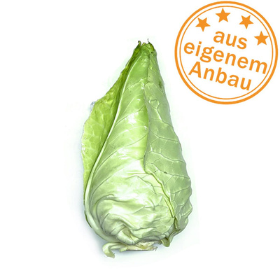 Produktfoto zu Spitzkohl, eigen