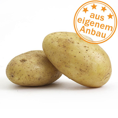 Produktfoto zu Backofenkartoffeln, dick, eigen