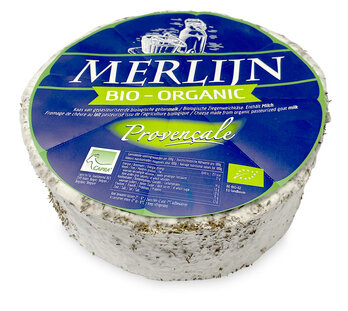 KI generiert: Das Bild zeigt eine stilisierte Illustration einer gelben Karotte mit grünem Blattwerk auf einem hellgrünen Hintergrund. Der Hauptinhalt ist die minimalistische Darstellung der Karotte.