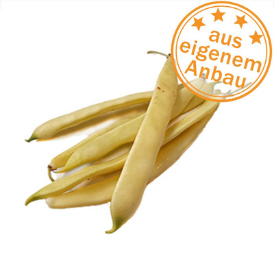 Produktfoto zu Bohnen, gelb, platt, eigen
