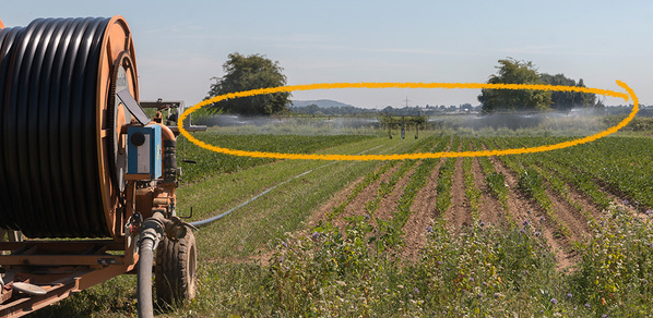 KI generiert: Ein Bewässerungssystem versorgt ein Feld mit Wasser. Ein orangefarbener Kreis markiert den Bereich der Beregnung.