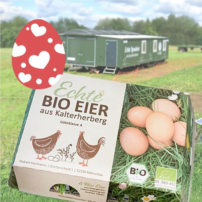 Produktfoto zu 6 Eier, aus dem Hühnermobil