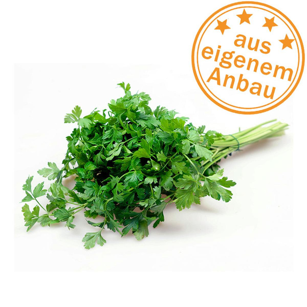 Produktfoto zu Petersilie glatt, klein, eigen