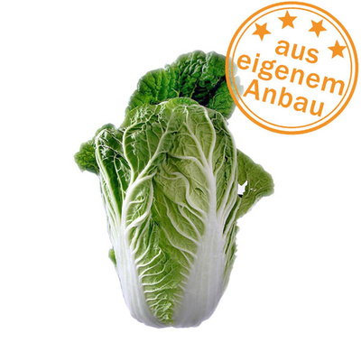 Produktfoto zu Chinakohl, eigen > 700g